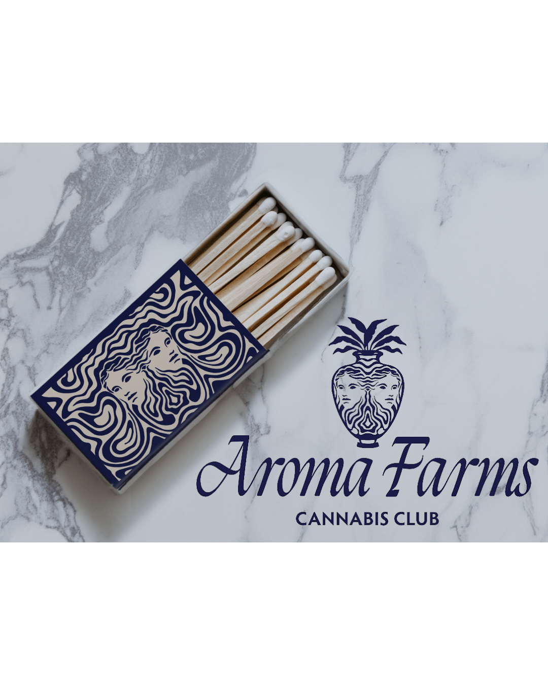 Aroma Farms dispensary interior